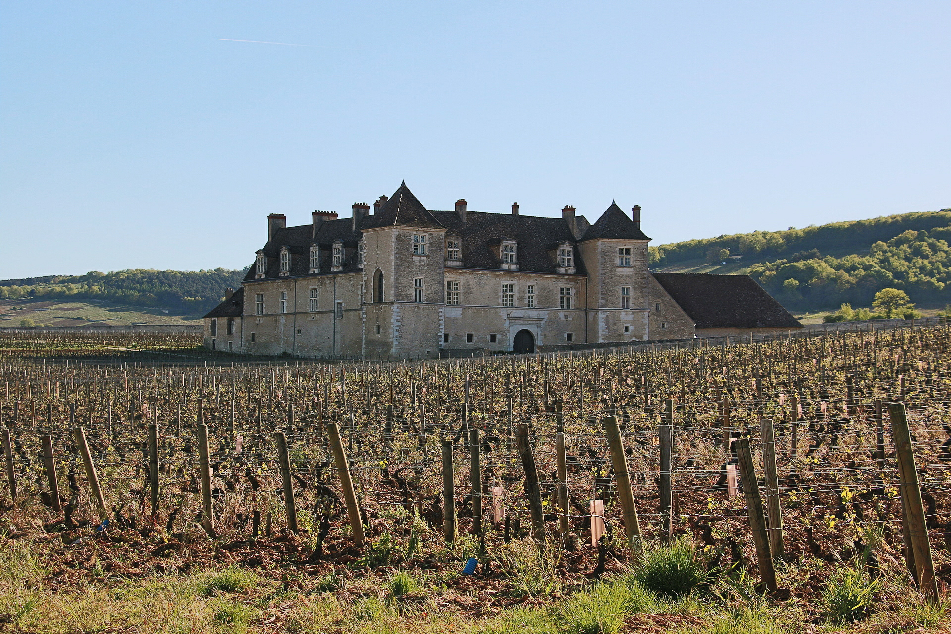 Clos de Vougeot Vineyard, Vougeot, France скачать